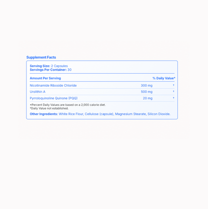 Regen+ | Longevity Support