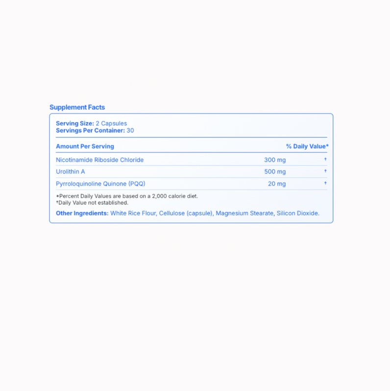 Regen+ | Longevity Support